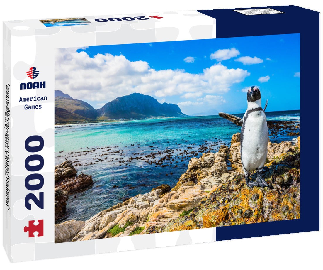 Fanny African penguin on the beach. Boulders Penguin Colony National Park, South Africa 2000pc Puzzle