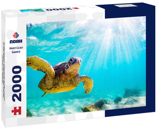 Noah Jigsaw Puzzle endangered Hawaiian turtle cruise in the warm waters of the Pacific Ocean in Hawaii 2000 pieces