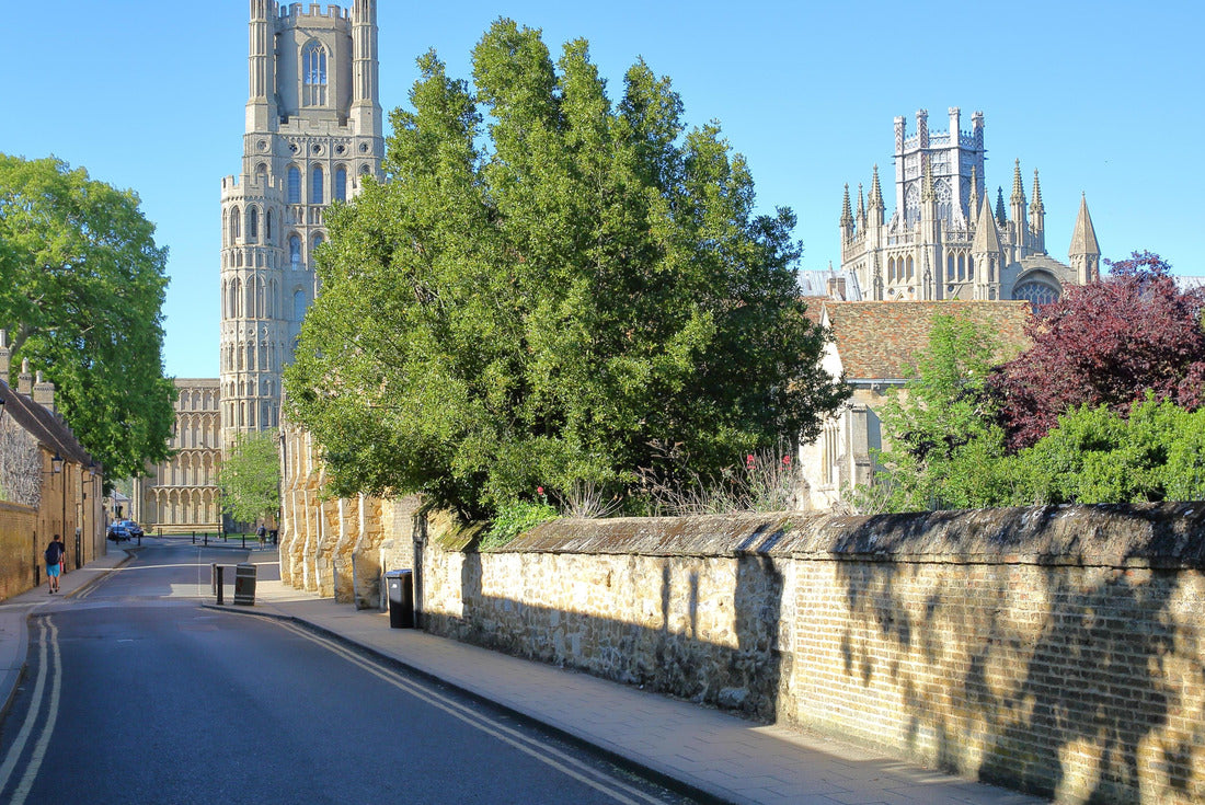 the south section of Ely Cathedral from Gallery Street in Ely, Cambridgeshire, United Kingdom 2000pc Puzzle