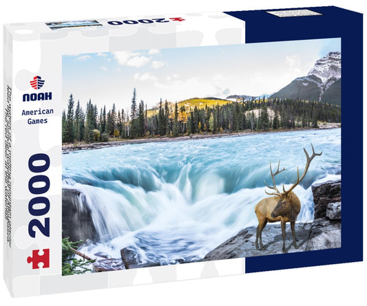 Noah Jigsaw Puzzle The waters of a melting mountain glacier feed the spiritual waterfall of Athabasca. The red deer at the waterfall 2000 pieces