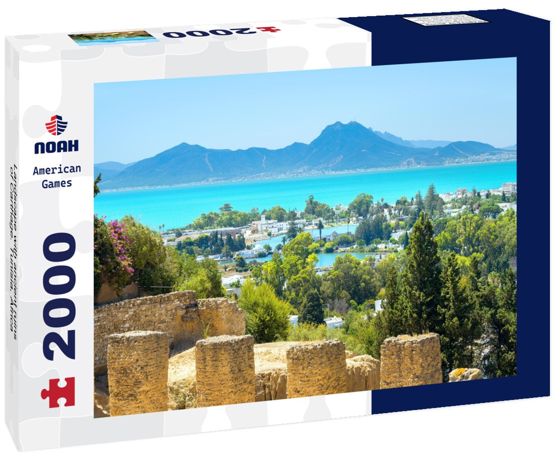 Noah Jigsaw Puzzle Landscape with ancient ruins of Carthage. Tunisia, Africa 2000 pieces