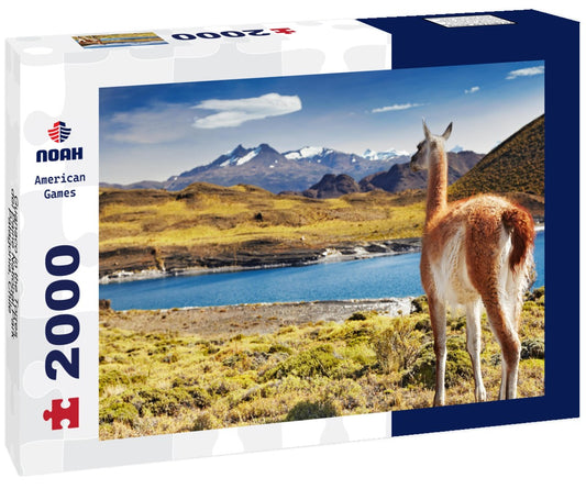 Noah Jigsaw Puzzle Guanaco in the Torres del Paine National Park, Patagonia, Chile 2000 pieces