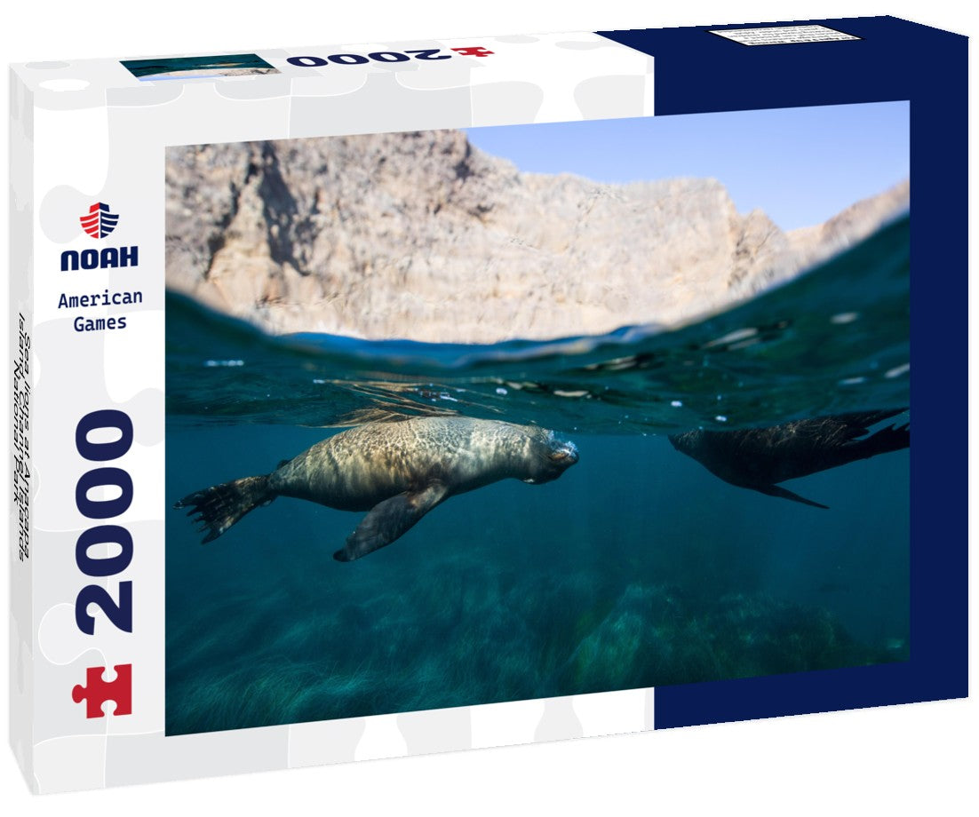 Noah Jigsaw Puzzle Sea lions at Anacapa Island, Channel Islands National Park 2000 pieces