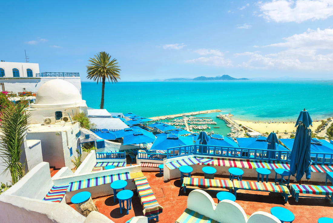 Noah Jigsaw Puzzle Beautiful view of the sea and the white and blue village of Sidi Bou Said. Tunisia 2000 pieces