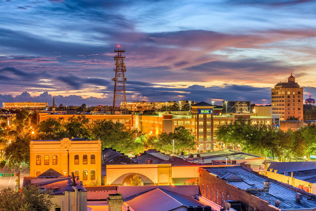 Gainesville, Florida, USA Downtown Skyline 2000pc Puzzle