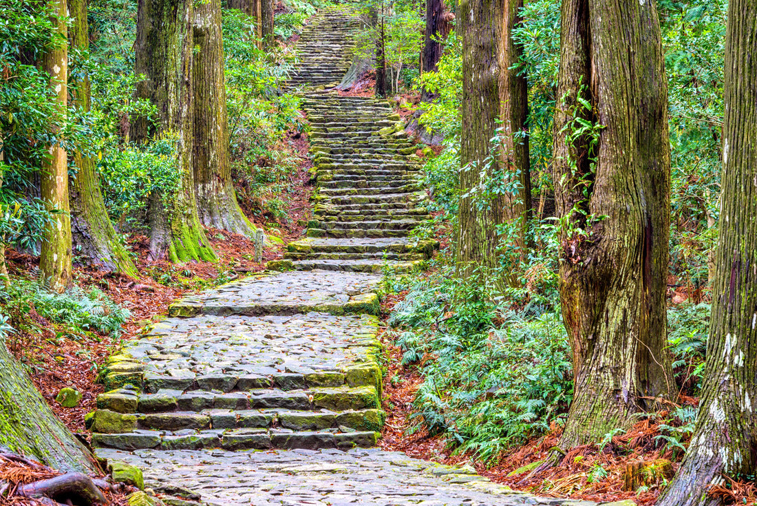 The Kumano Kodo trail, a sacred trail in Nachi, Wakayama, Japan 2000pc Puzzle