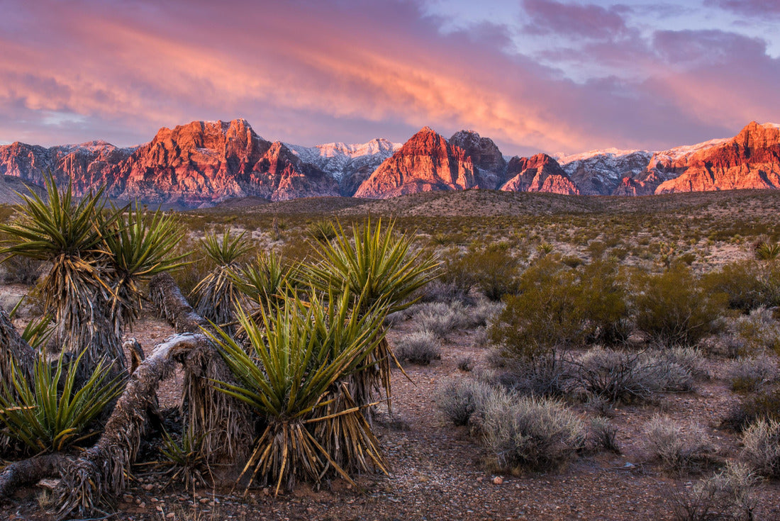 Sunrise at Red Rock Canyon, Nevada 2000pc Puzzle