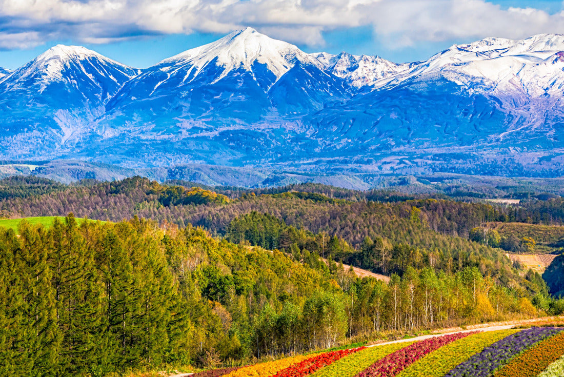 Snow-capped mountain, colorful flower field, Hokkaido, Japan 2000pc Puzzle