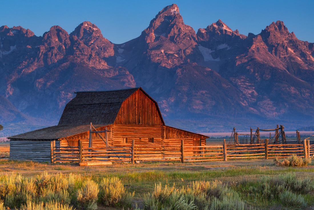 Sunrise of historic Moulton Barn in the Grand Teton National Park, Wyoming, USA 2000pc Puzzle