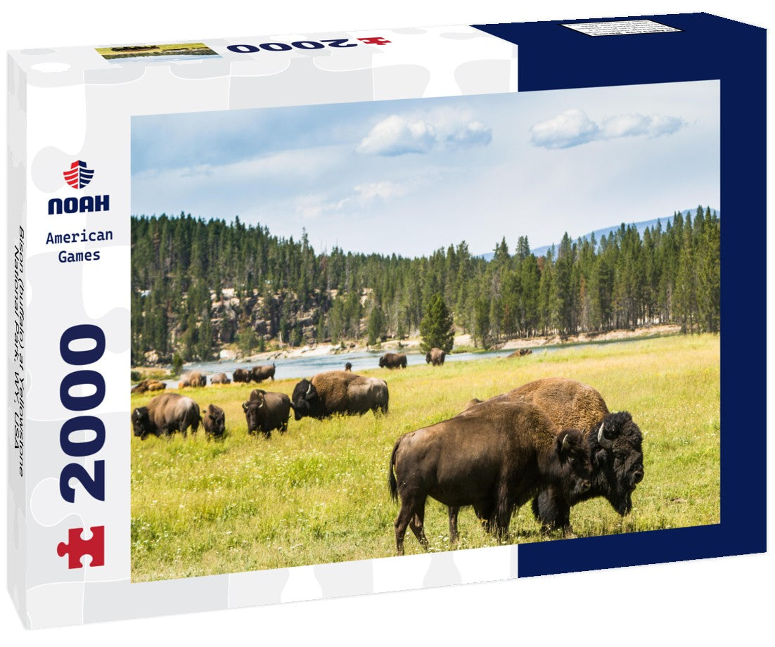 Noah Jigsaw Puzzle Bison (buffalo) at Yellowstone National Park, WY, USA 2000 pieces