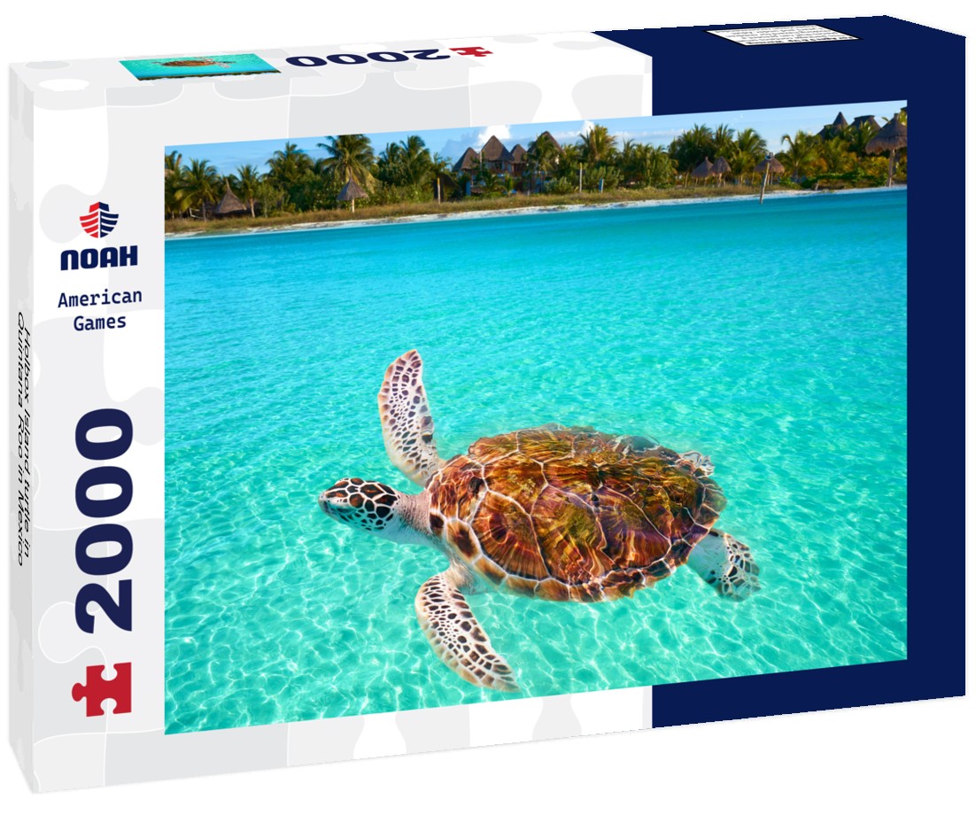 Holbox Island turtle in Quintana Roo in Mexico 2000pc Puzzle