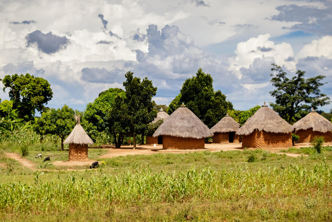 Typical Ugandan huts. Most inhabitants live in thatched huts with mud and wattle walls. During the rainy season, it is very difficult to keep the huts stable and dry 2000pc Puzzle