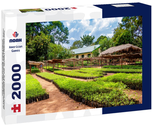 Noah Jigsaw Puzzle Tree planting Uganda, this is a plantation where many seedlings are grown with wooden racks to protect them against rain and sun 2000 pieces