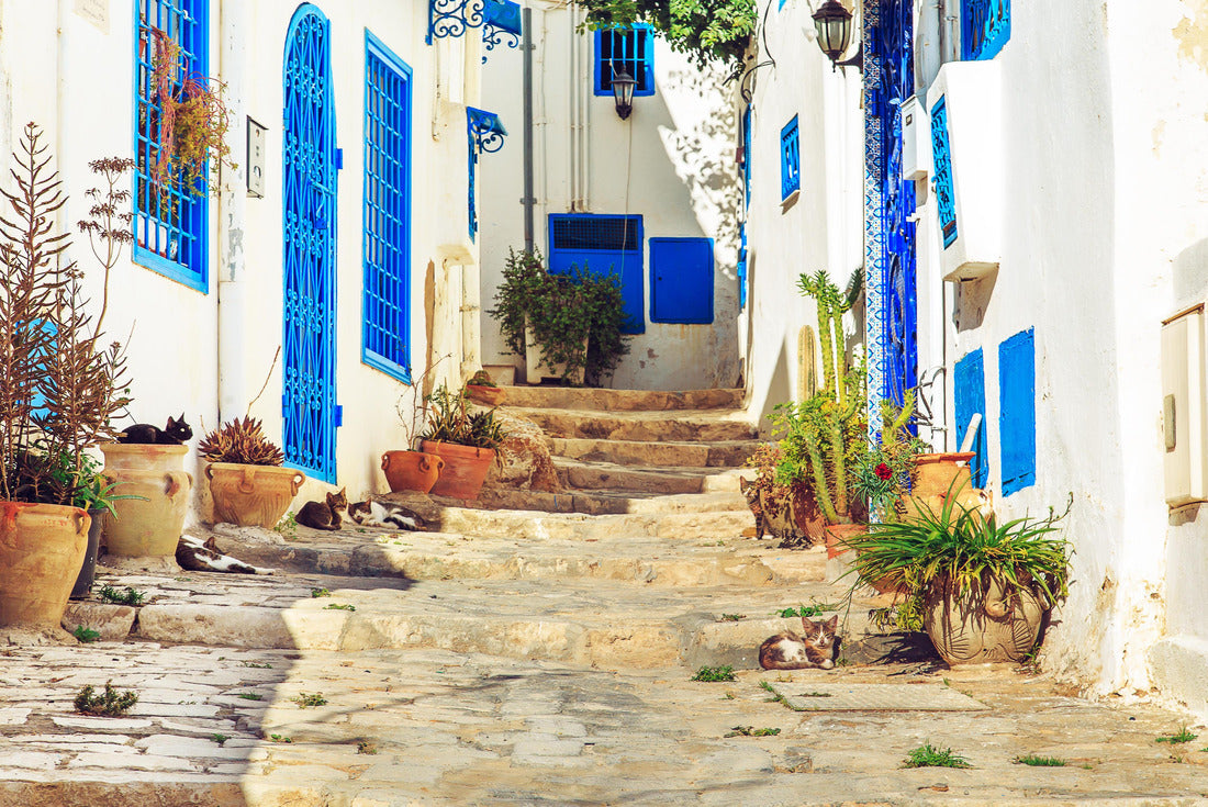 The white-blue city Sidi Bou said, Tunisia. Eastern fairy tale with French charm 2000pc Puzzle