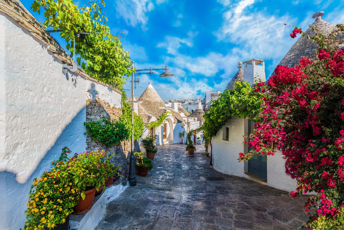 Trulli houses in Alberobello, Apulia, Italy 2000pc Puzzle