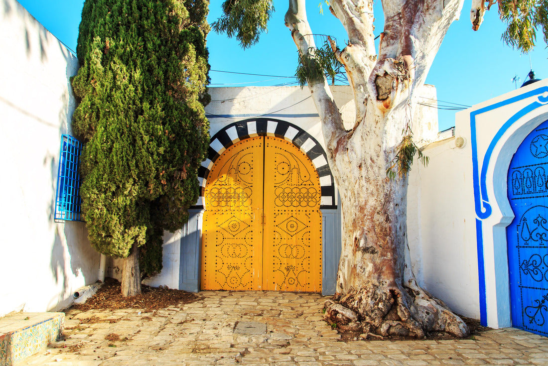 Noah Jigsaw Puzzle Traditional blue doors with ornaments in Sidi Bou Said, Tunisia 2000 pieces