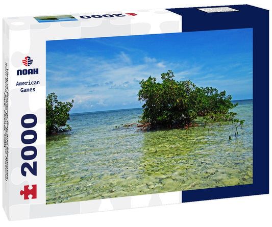Noah Jigsaw Puzzle View of Biscayne Bay and Mangroves from Boca Chita Key, Biscayne National Park, Florida, USA 2000 pieces