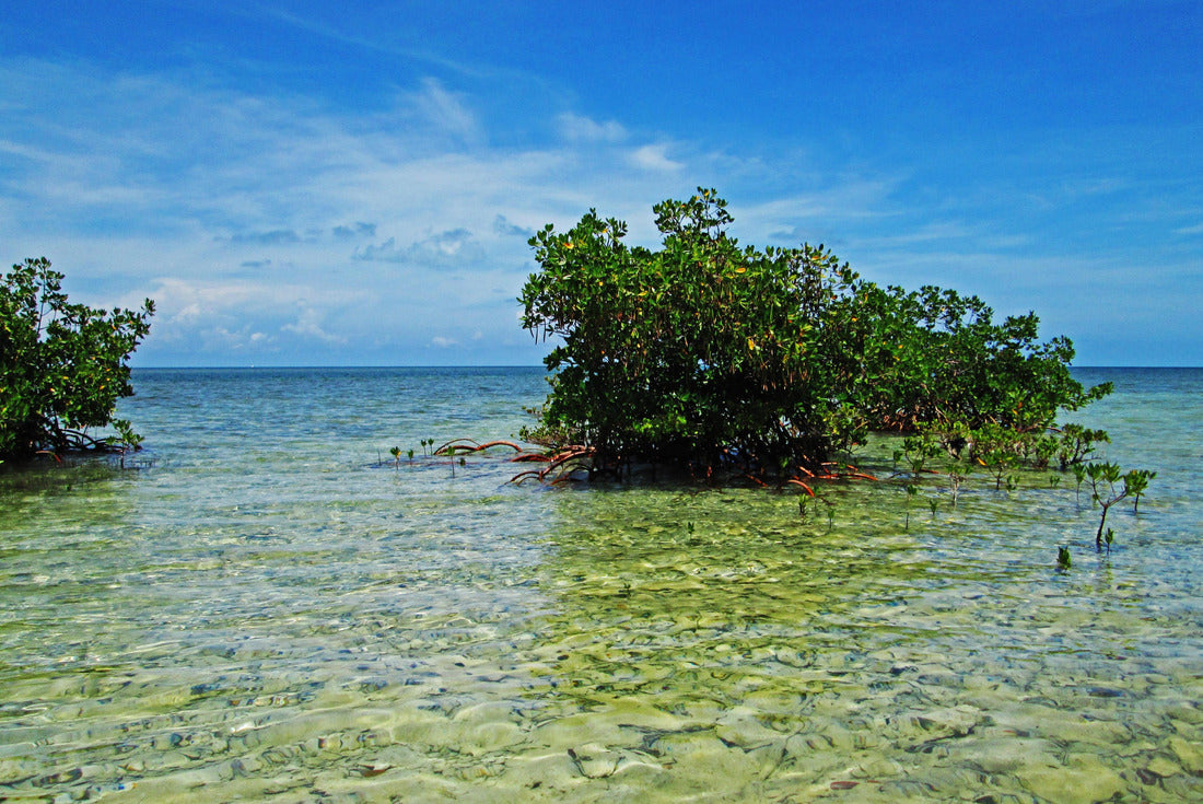 Biscayne Bay and Mangroves from Boca Chita Key, Biscayne National Park, Florida, USA 2000pc Puzzle