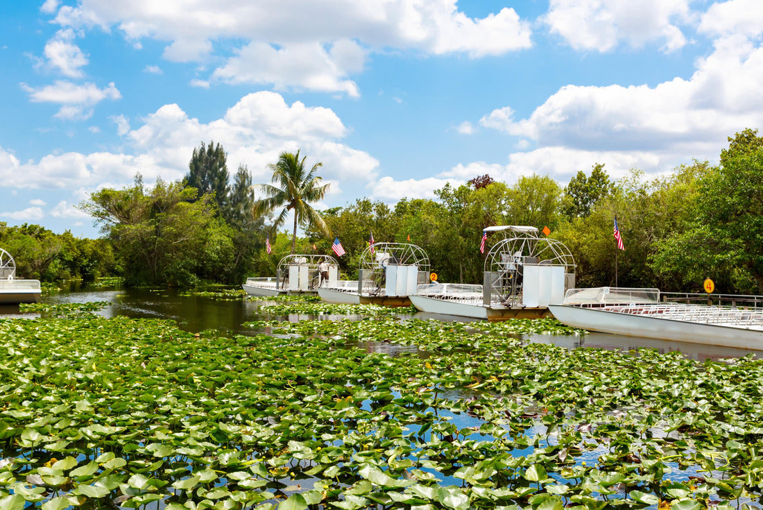 Florida wetland, Airboat ride at Everglades National Park in USA. Popular place for tourists, wild nature and animals 2000pc Puzzle