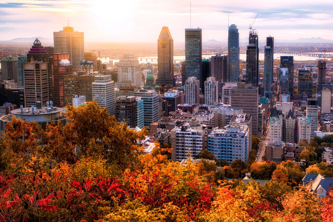 Montreal sunrise with colorful leaves 2000pc Puzzle
