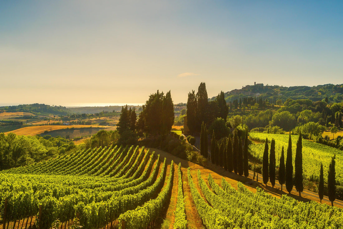 Casale Marittimo village, vineyards and countryside in Maremma. Pisa Tuscany, Italy 2000pc Puzzle
