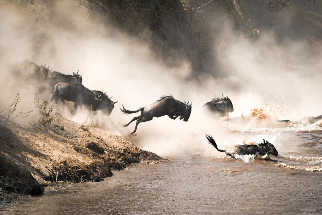 Wildebeest crossing the Mara River during the annual great migration. Every year, millions of animals make the dangerous crossing between Tanzania and the Masai Mara in Kenya 2000pc Puzzle