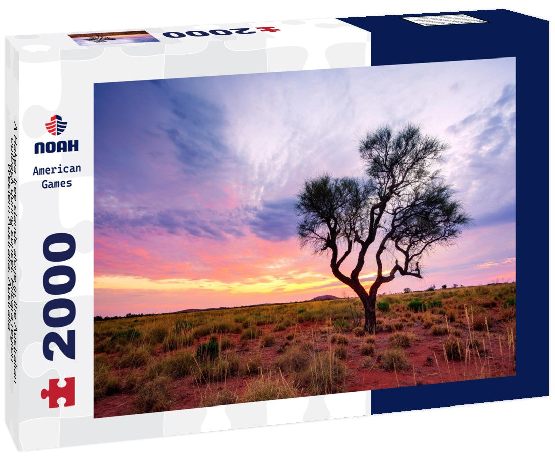 A Hakea tree stands alone in the Australian outback during sunset. Pilbara region, Western Australia, Australia 2000pc Puzzle