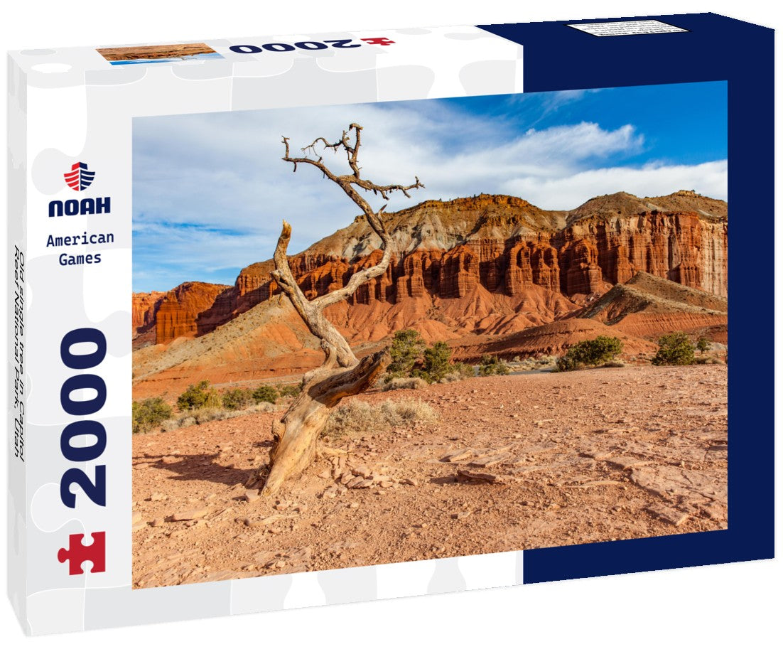 Noah Jigsaw Puzzle Old single tree in Capitol Reef National Park, Utah 2000 pieces