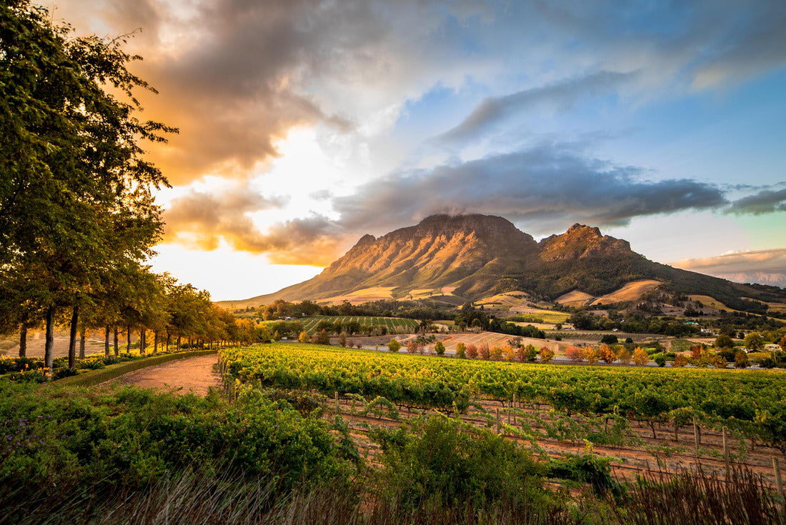 Wine region near Stellenbosch with view of Simonsberg in South Africa 2000pc Puzzle