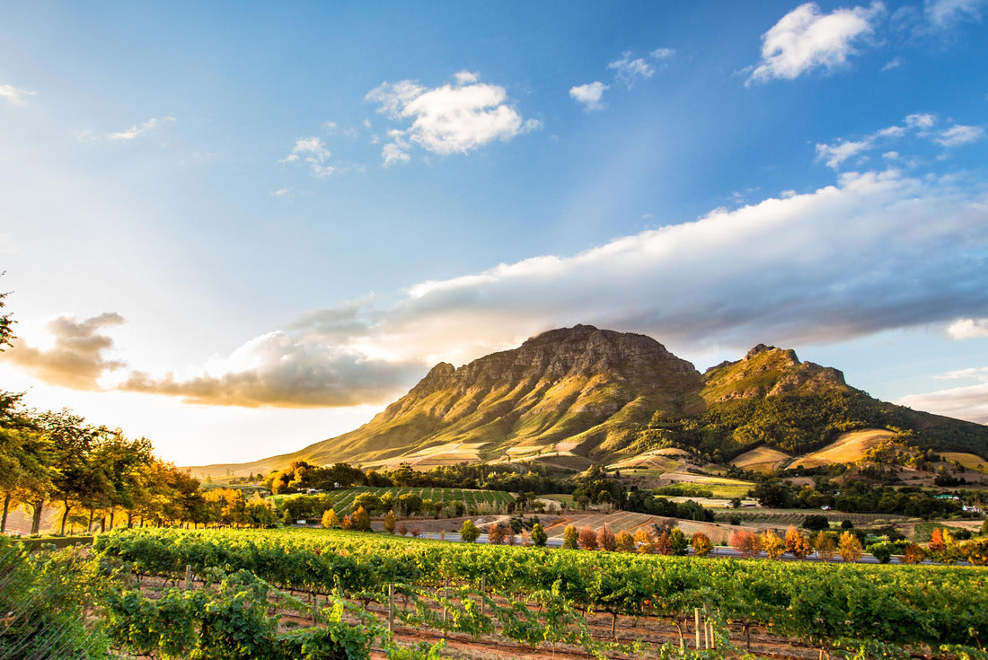 Wine region near Stellenbosch with view of Simonsberg Mountain in South Africa 2000pc Puzzle