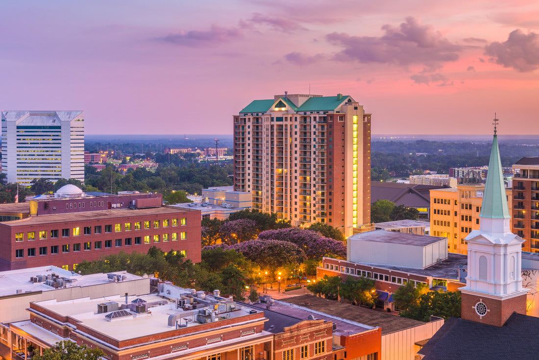 Tallahassee, Florida, USA downtown skyline 2000pc Puzzle