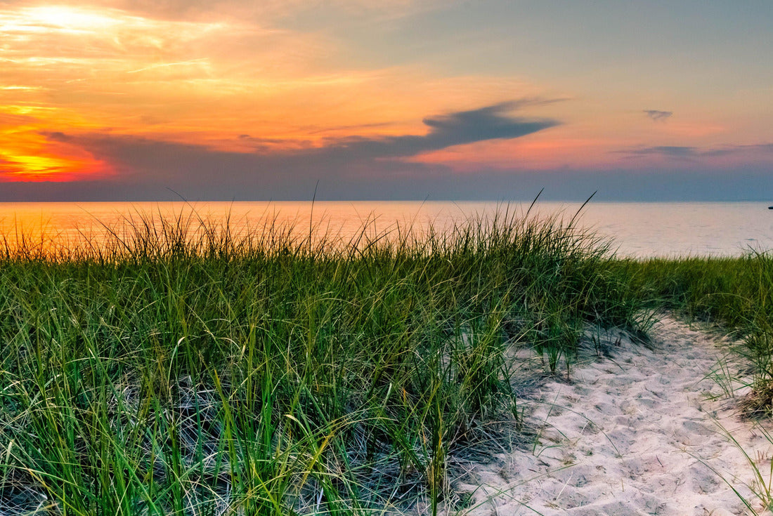 Noah Jigsaw Puzzle Lake Michigan Sunset 2000 pieces