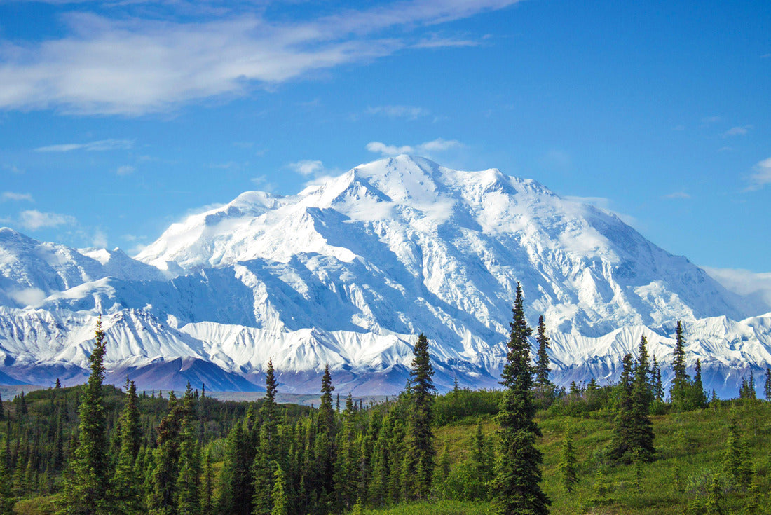 Early morning view of Mount Denali, the tallest peak in continental North America. One of those rare moments when the peak is not covered in clouds 2000pc Puzzle