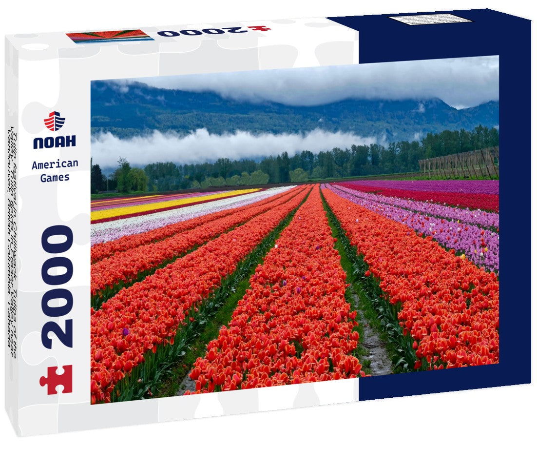 Tulip festival in Chilliwack. Tulips of the Valley. Tulip fields in Fraser Valley near Vancouver, British Columbia. Canada 2000pc Puzzle