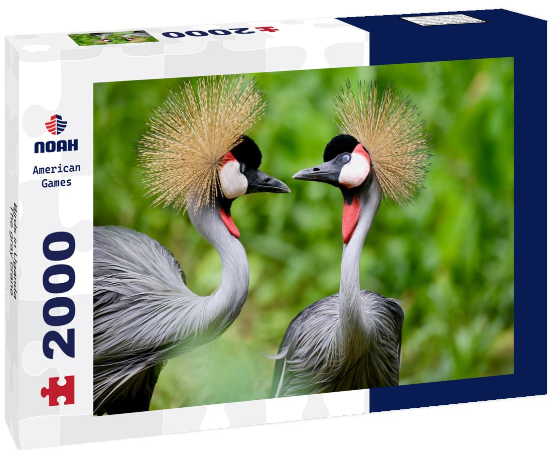 Birds in Uganda - The gray crane 2000pc Puzzle