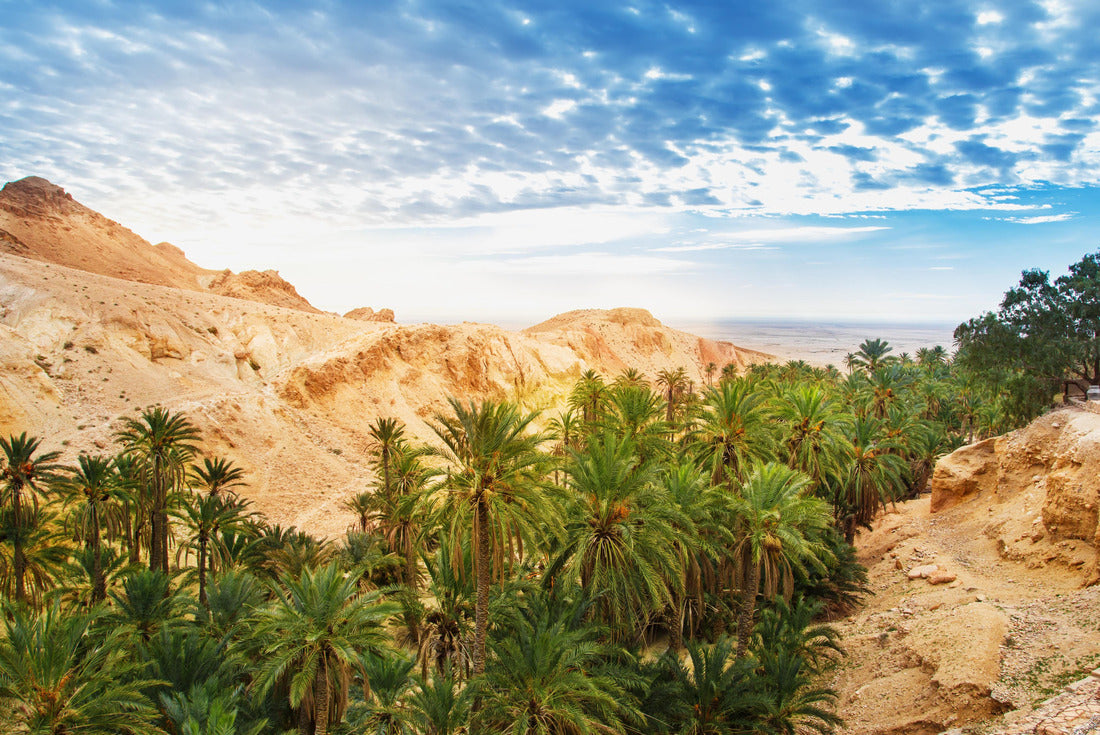 Noah Jigsaw Puzzle Panoramic view of the mountain oasis Chebika. Sahara Desert, Tunisia 2000 pieces