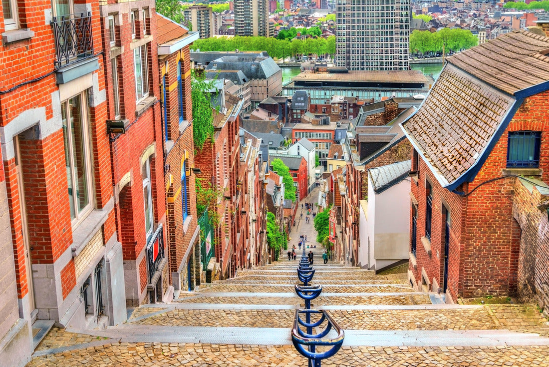 Montagne de Bueren, 374 steps staircase in Liège - Belgium 2000pc Puzzle