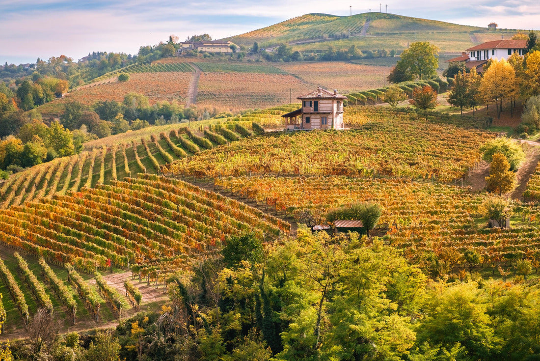 Barolo Langhe e Roero vineyards. Autumn landscape, Dolcetto, Barbaresco wine. Province of Cuneo, Piedmont, Italy 2000pc Puzzle