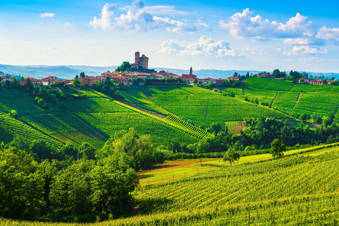 Noah Jigsaw Puzzle Langhe vineyards sunset panorama, Serralunga d'Alba, Unesco Site, Piedmont, Northern Italy 2000 pieces