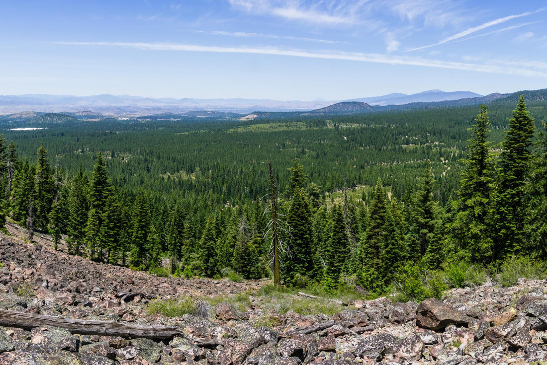 Hiking trail to the top of Black Butte, close to Shasta Mountain, Siskiyou County, Northern California 2000pc Puzzle