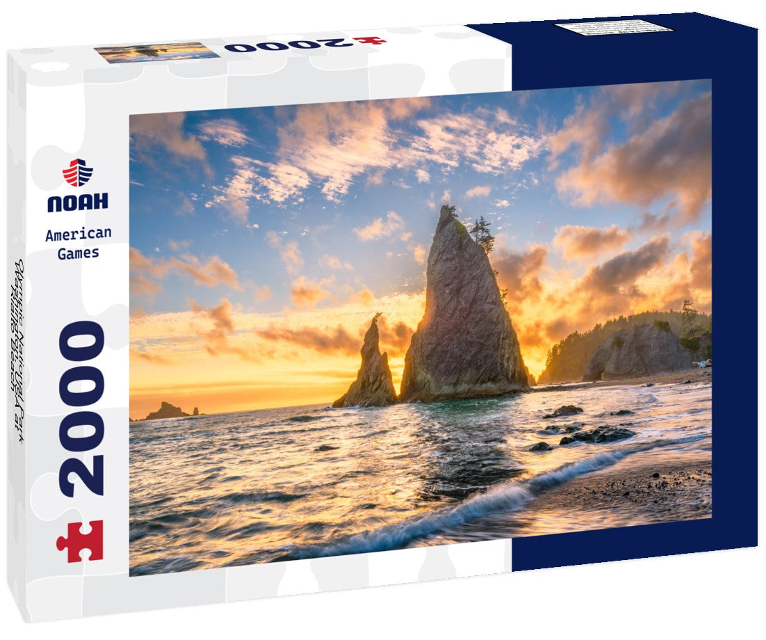 Noah Jigsaw Puzzle Olympic National Park, Washington, USA at Rialto Beach 2000 pieces