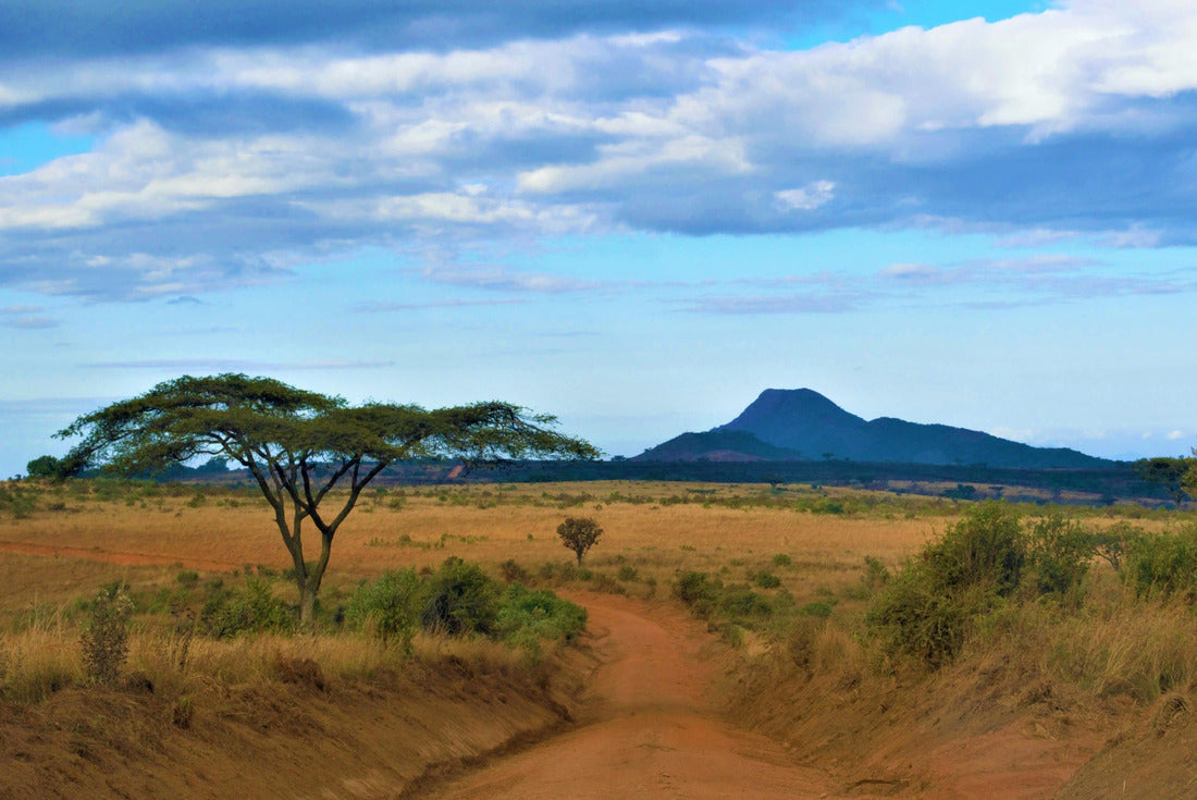 A dusty road, Malawi 2000pc Puzzle