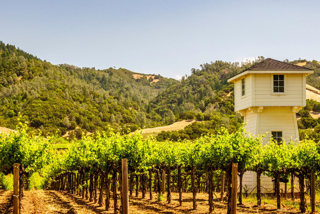 Part of vineyard with watchtower in Sonoma Valley, northern California, USA 2000pc Puzzle