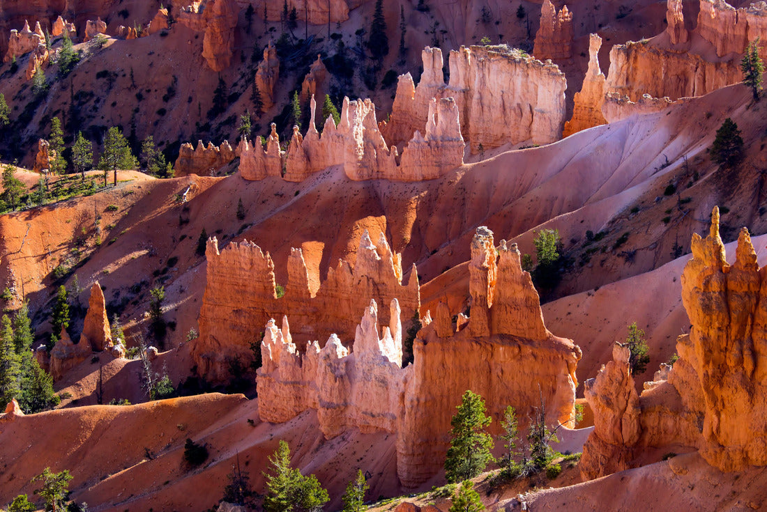 Noah Jigsaw Puzzle Bryce Canyon National Park in Utah, one of the most beautiful national parks in the world 2000 pieces