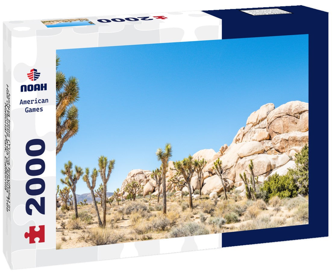 Joshua trees (Yucca brevifolia) in Hall of Horrors area of Joshua Tree National Park, California 2000pc Puzzle