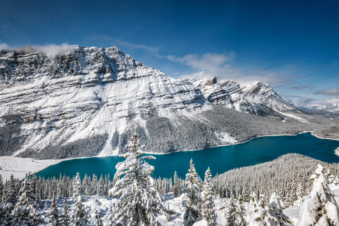 Peyto Lake with reflection in Banff National Park, Canada 2000pc Puzzle