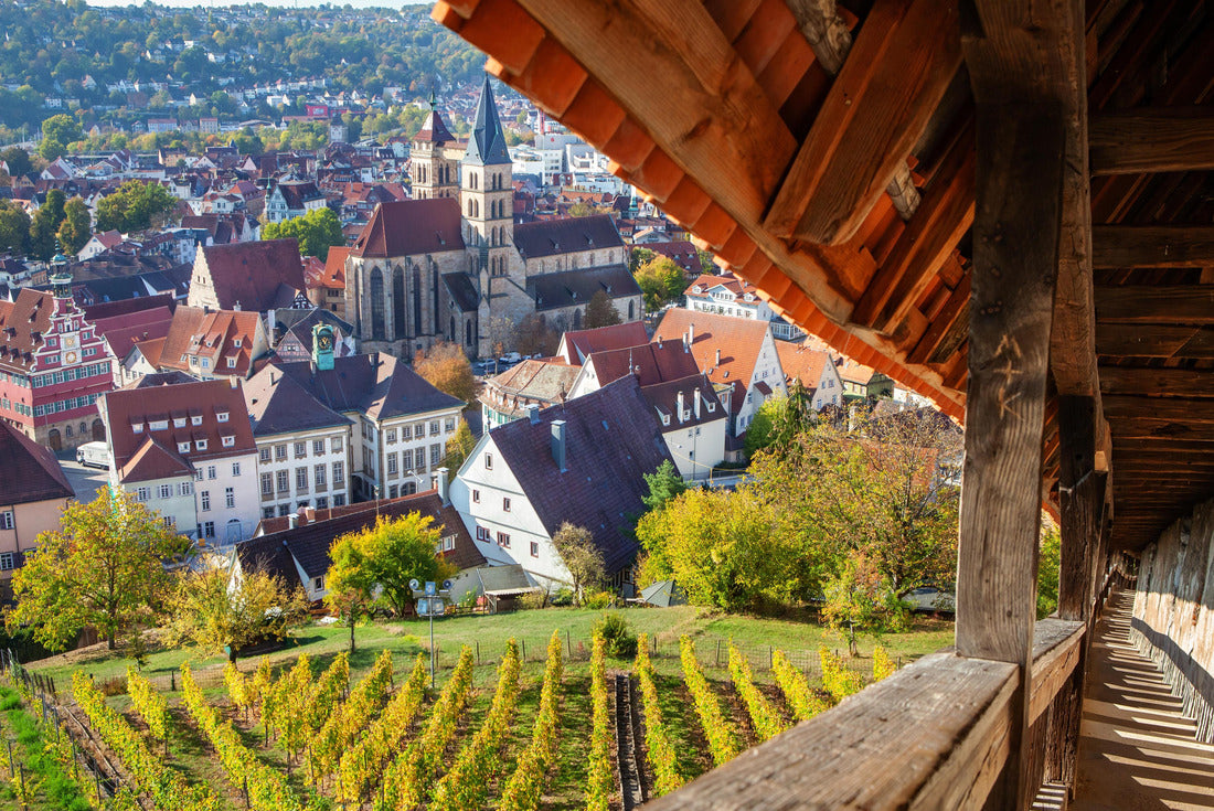 Esslingen am Neckar town center from castle with stairca 2000pc Puzzle