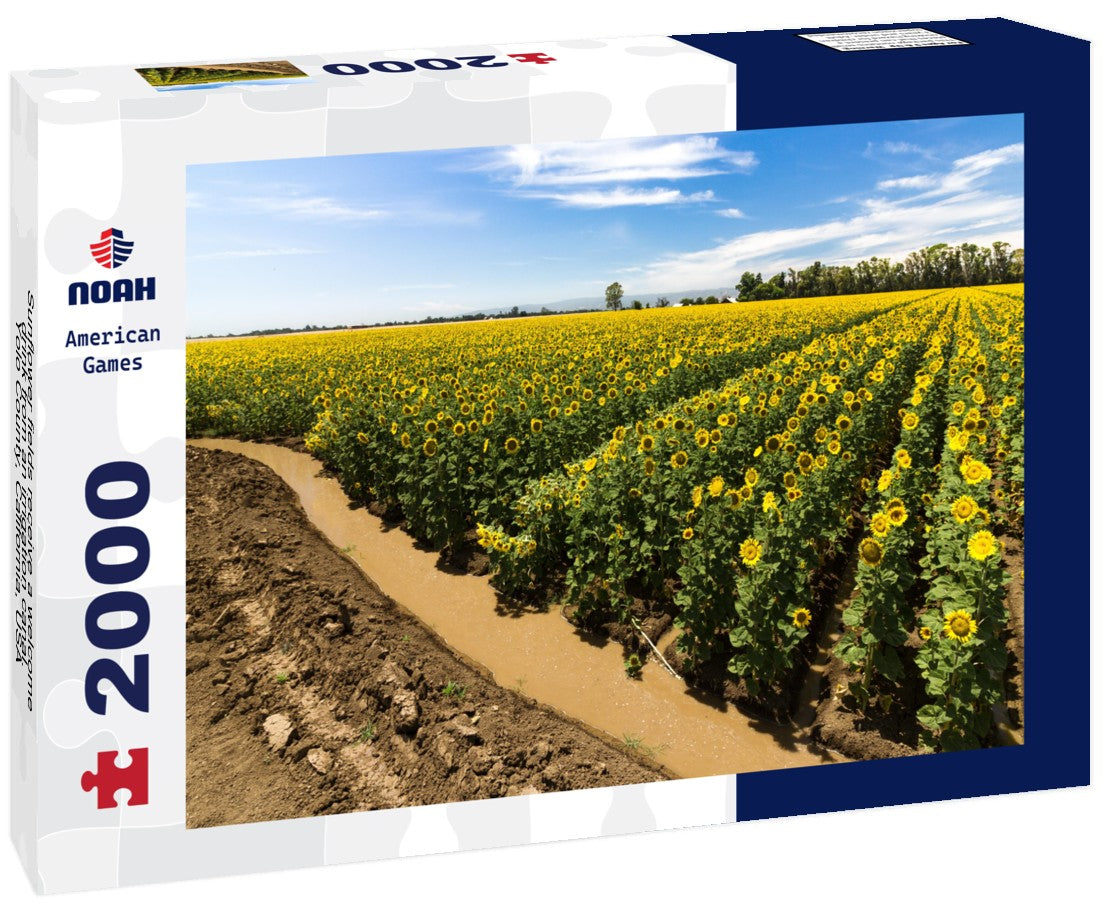 Sunflower fields receive a welcome drink from an irrigation canal. Yolo County, California, USA 2000pc Puzzle