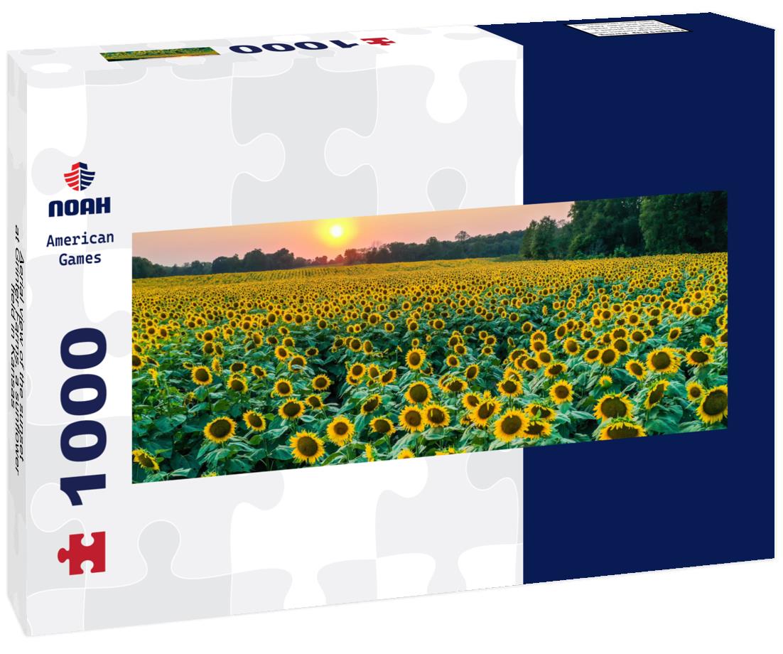Noah Jigsaw Puzzle Aerial view of the sunset at Grinter Farms, a sunflower field in Kansas panorama 1000 pieces