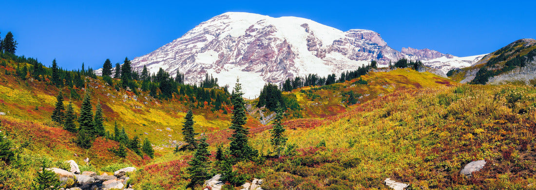 Noah Jigsaw Puzzle Edith Creek in Mount Rainier National Park flows in front of the volcanic peak as fall colors cover the hillside panorama 1000 pieces